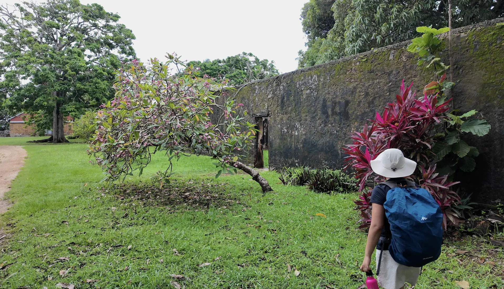 Flowering plants slowly taking over the walls of the penal colony